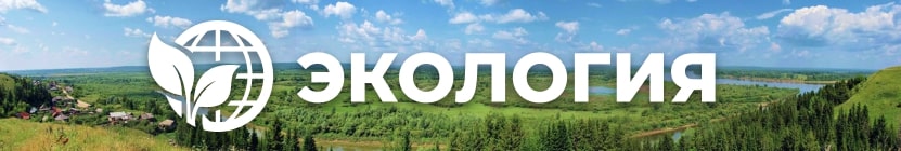 Раздел экологии Раздел экологии
